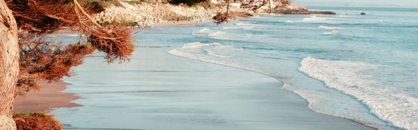 Best Things to Do in Santa Cruz: Beaches, Boardwalk & Hidden Gems