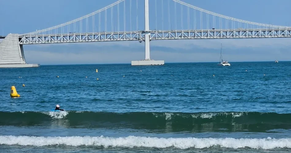 Best Santa Cruz Beaches: Top Spots to Swim, Surf & Unwind