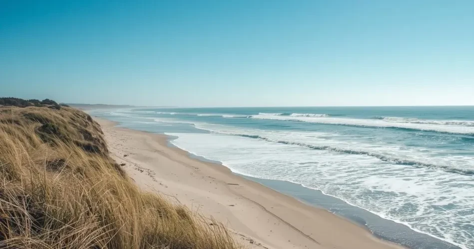 Best Santa Cruz Beaches: Top Spots to Swim, Surf & Unwind