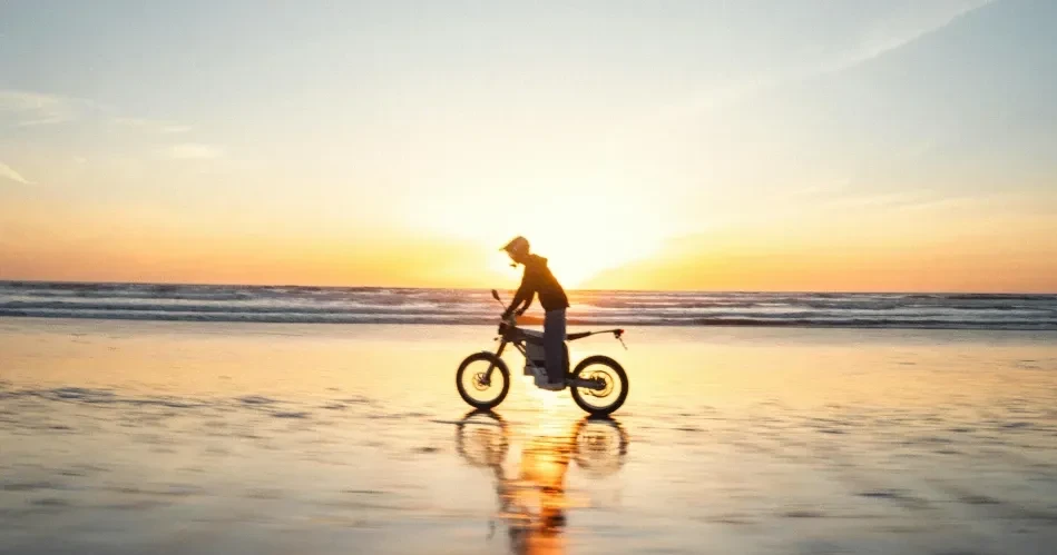 Santa Cruz Beach Boardwalk Guide: The Ultimate Family Fun Destination